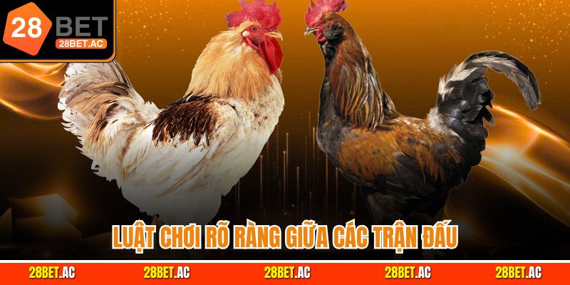 Luật chơi rõ ràng giữa các trận đấu