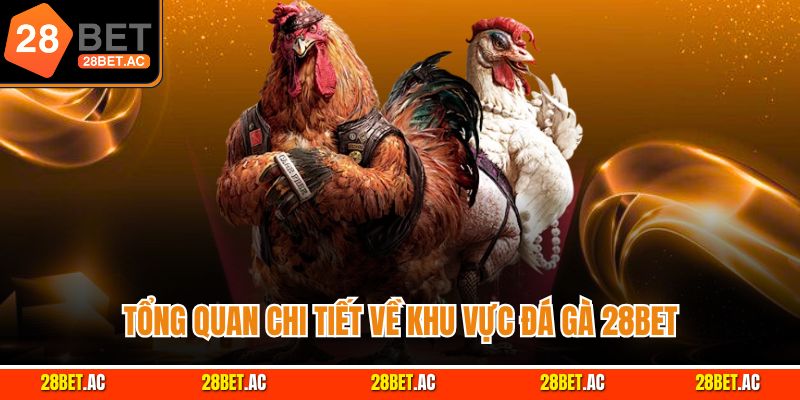 Tổng quan chi tiết về khu vực đá gà 28bet